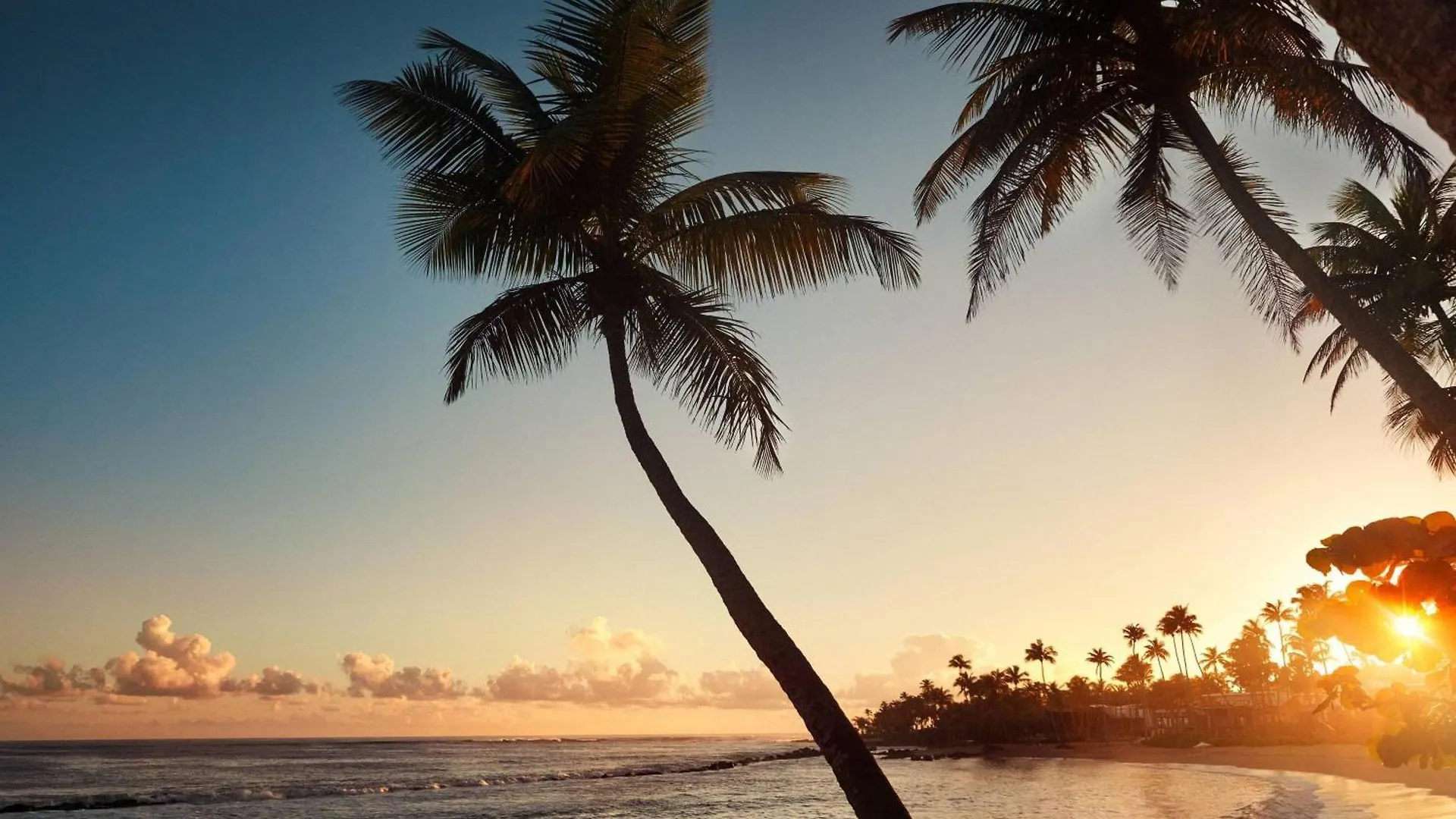 Dorado Beach, A Ritz-Carlton Reserve Porto Rico