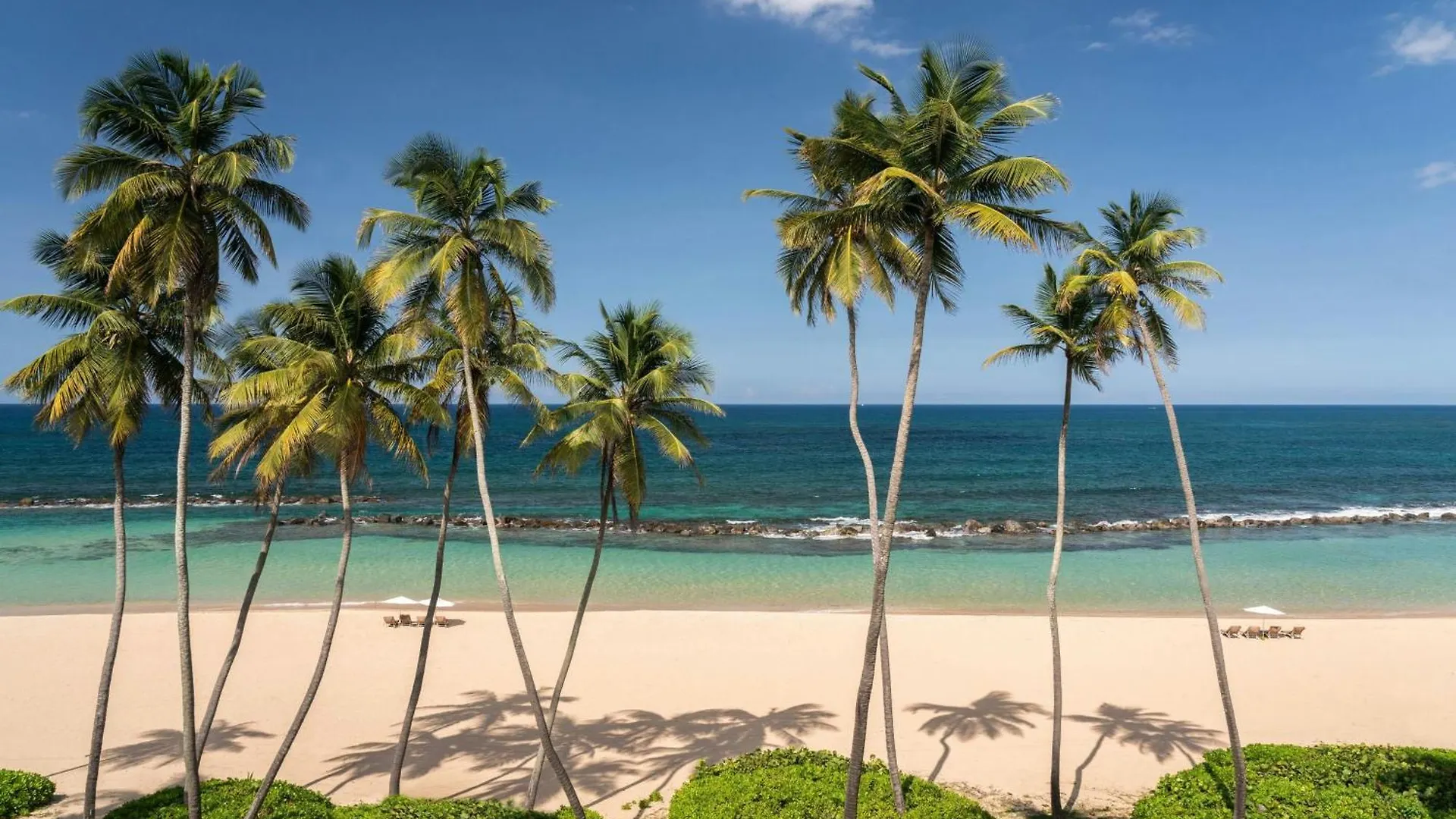 ***** Resort Dorado Beach, A Ritz-Carlton Reserve Puerto Rico