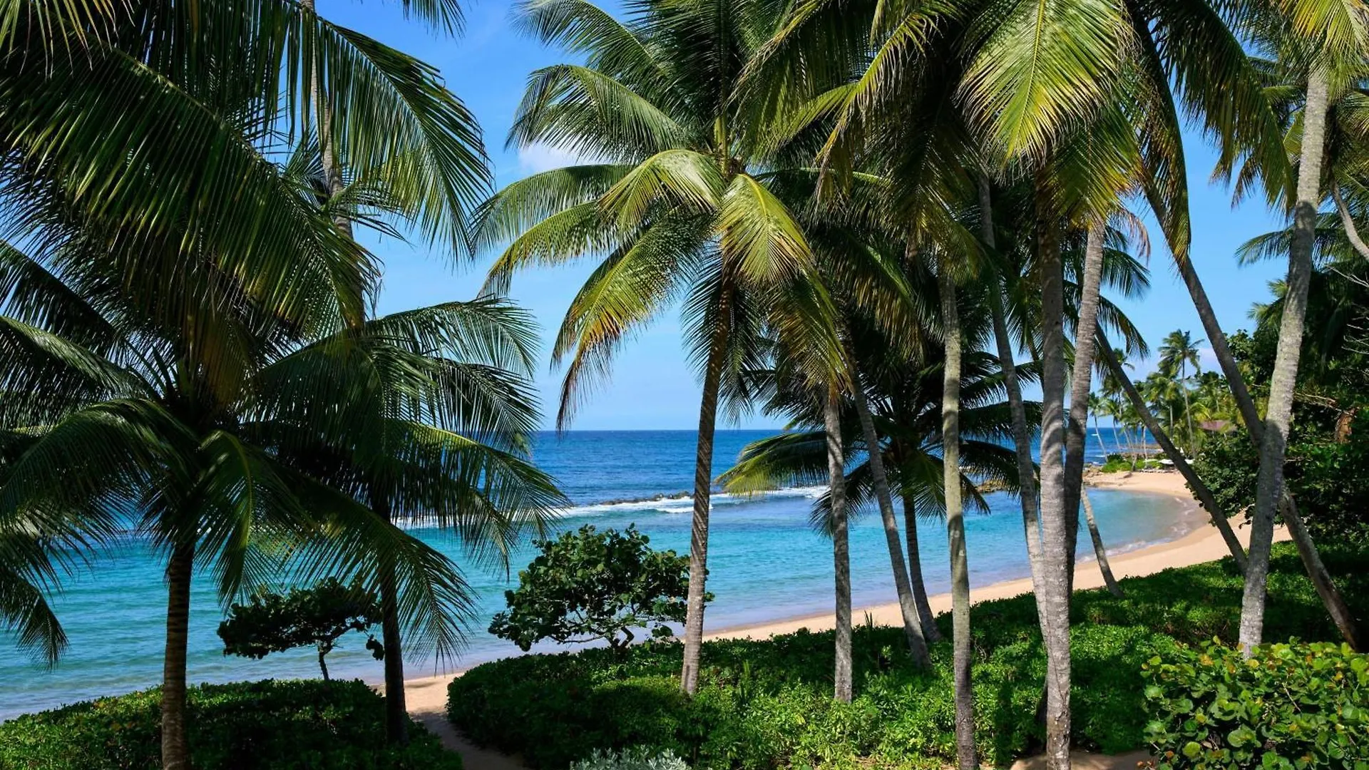 Dorado Beach, A Ritz-Carlton Reserve 5*,  Puerto Rico
